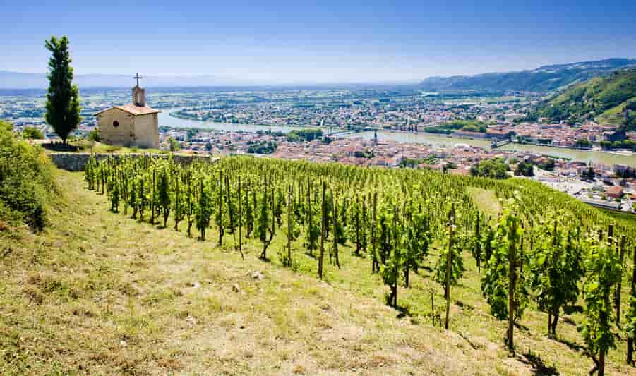 Vignoble de l'Hermitage