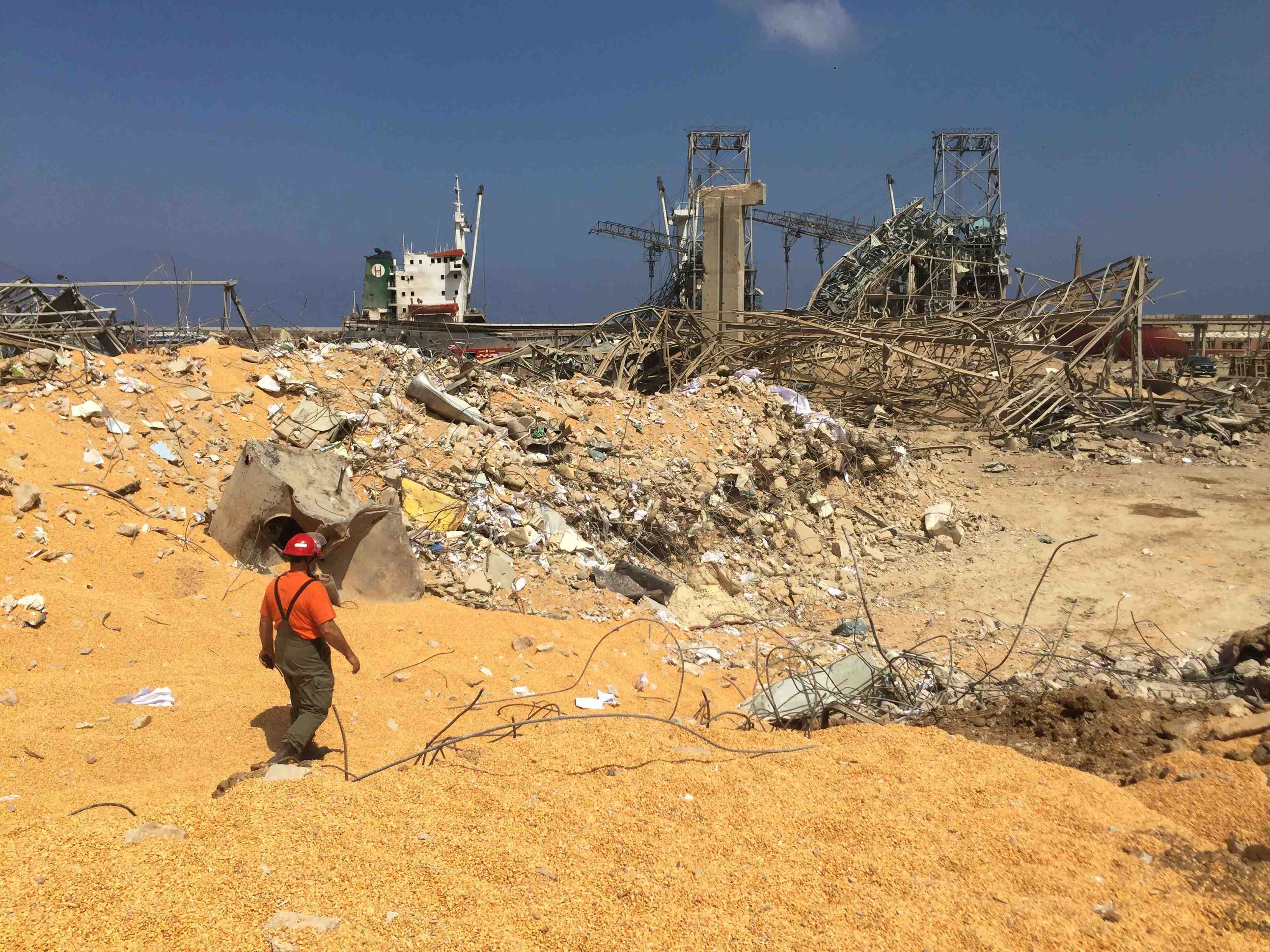 L'oms lance un appel de fonds de 15 millions de dollars pour beyrouth