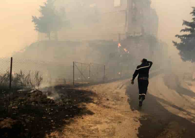 Six morts en algerie dans des feux de forets volontaires