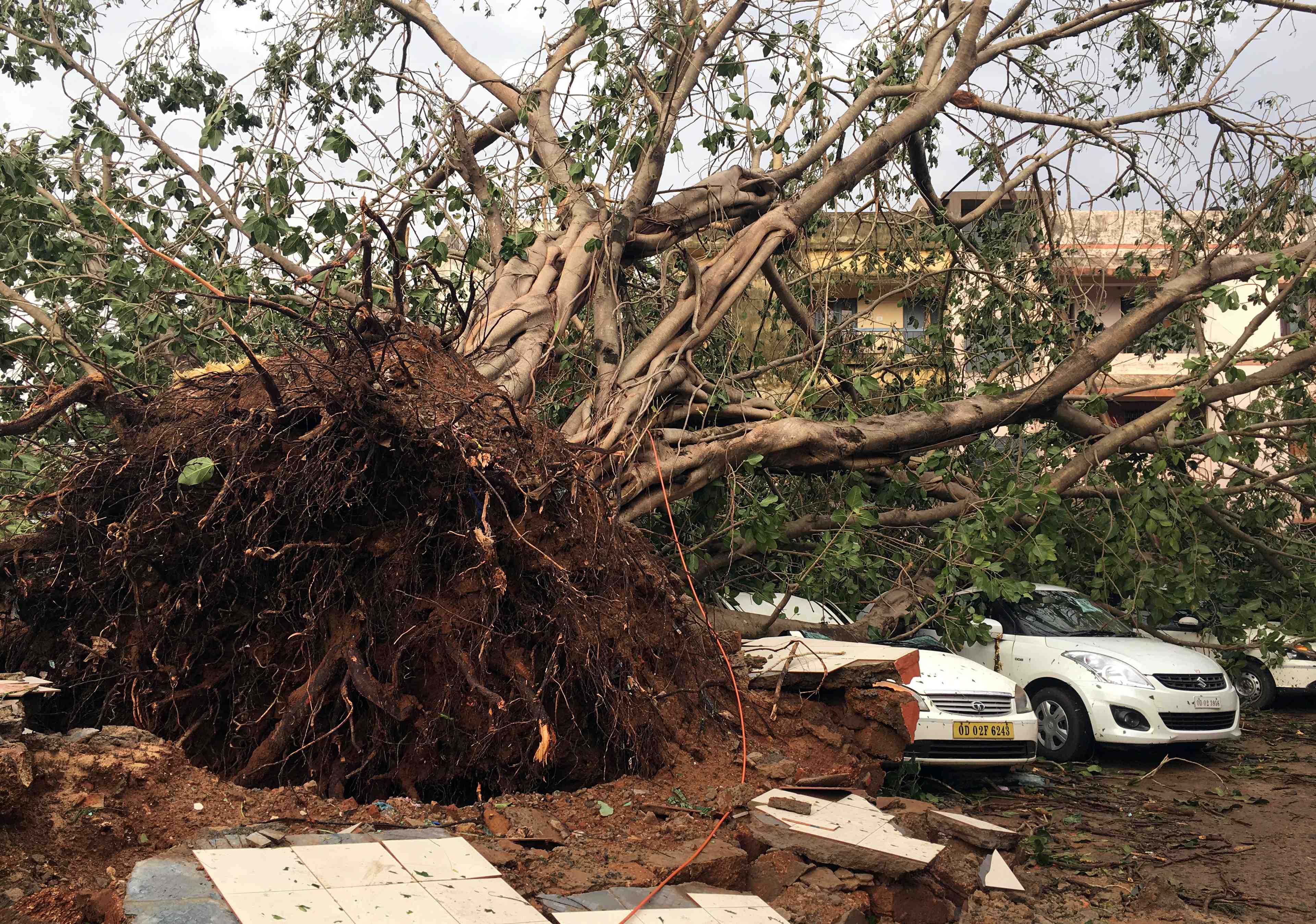 Le cyclone fani a fait 12 morts dans le nord-est de l'inde