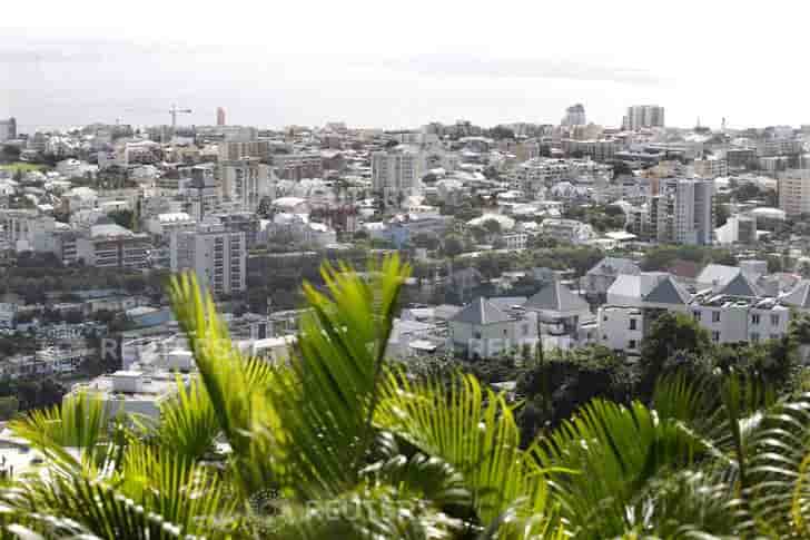 Epidemie de dengue sans precedent a la reunion, dit l'oms