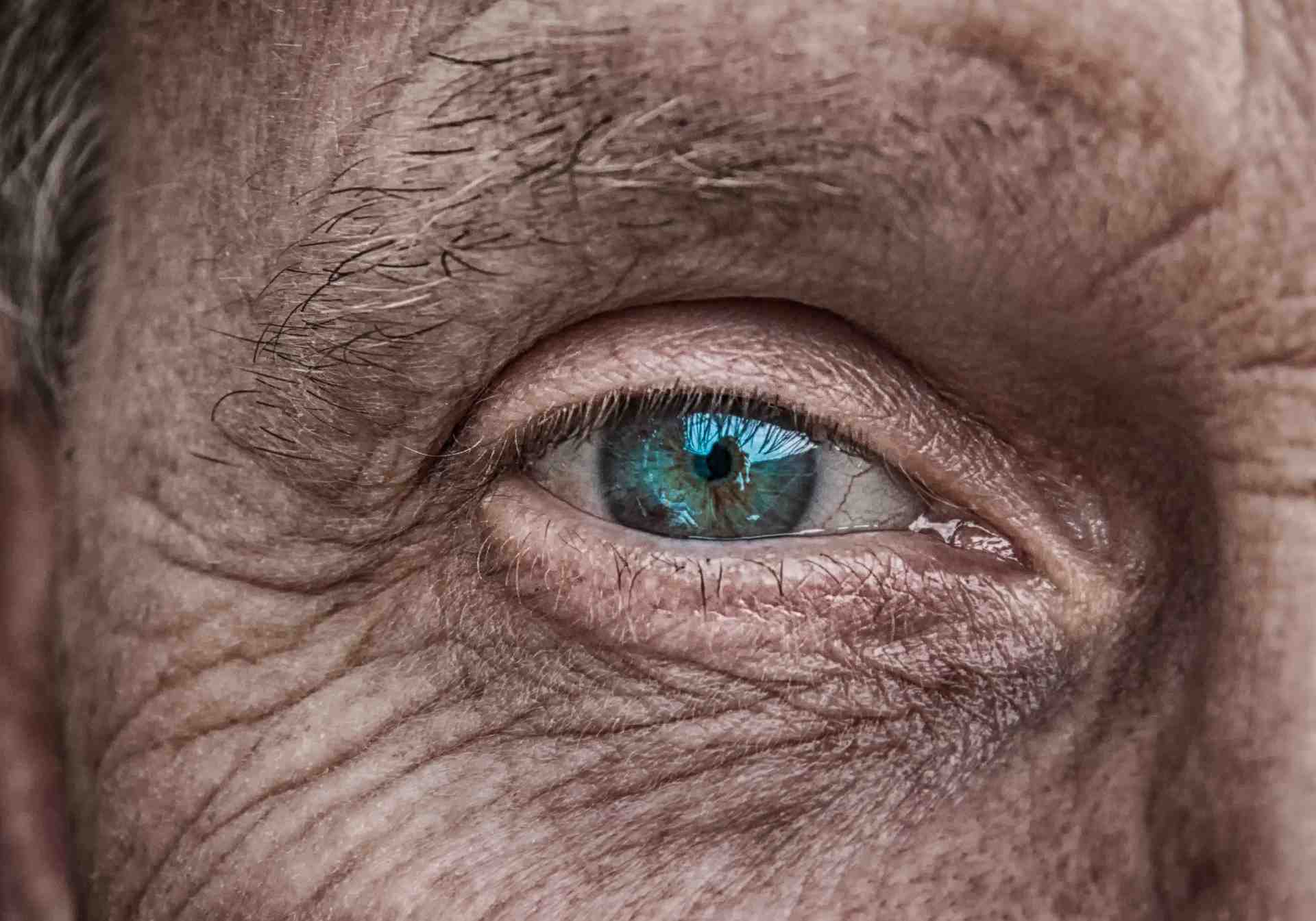 oeil, vision, vue, aveugle