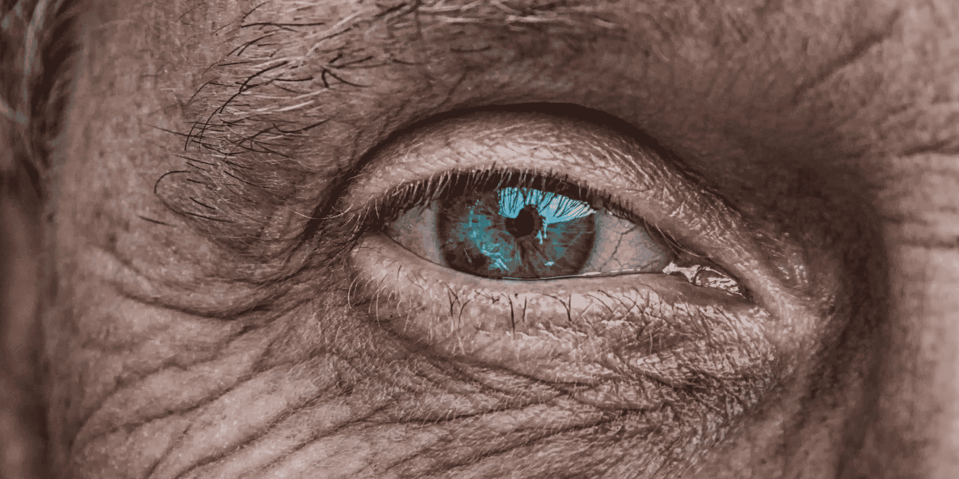 oeil, vision, vue, aveugle