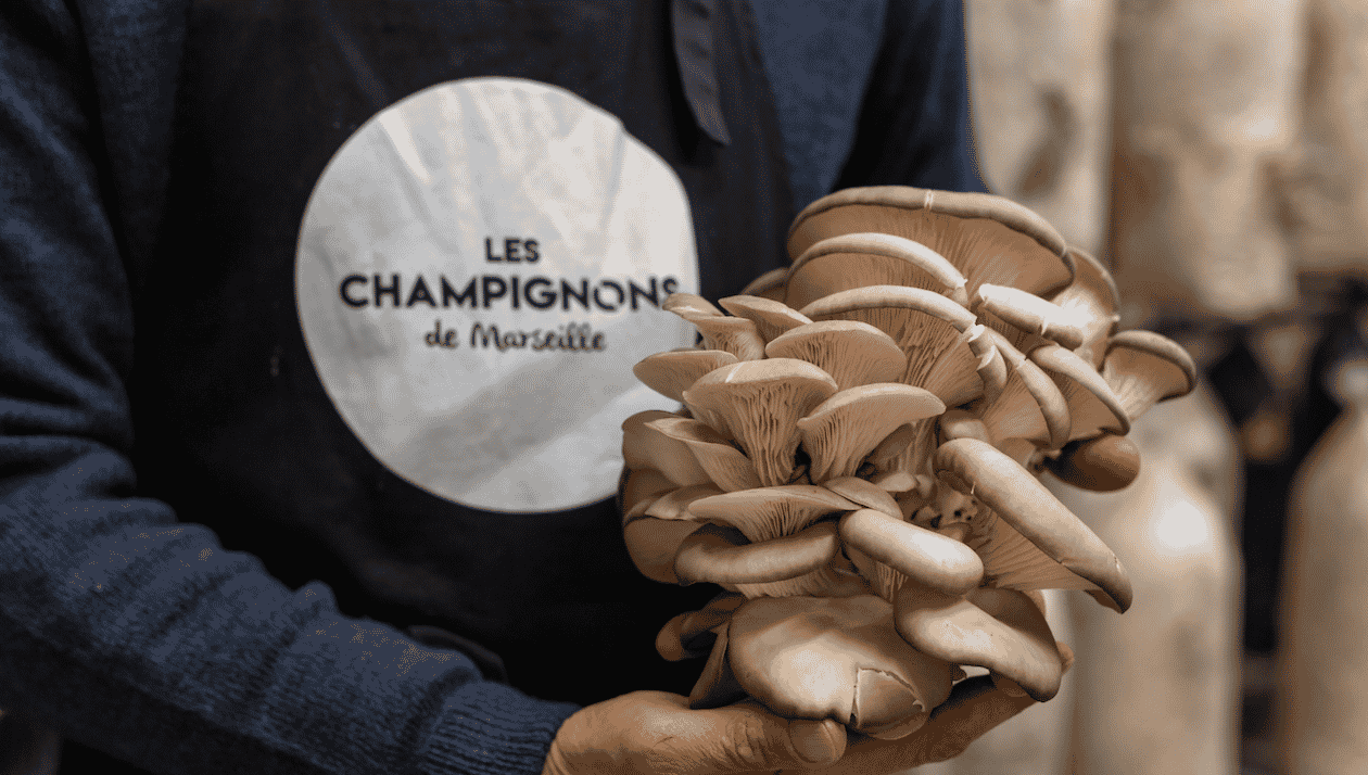 Champignons de Paris