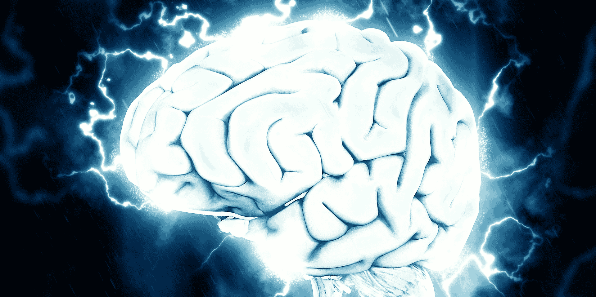 Intelligence artificielle, cerveau