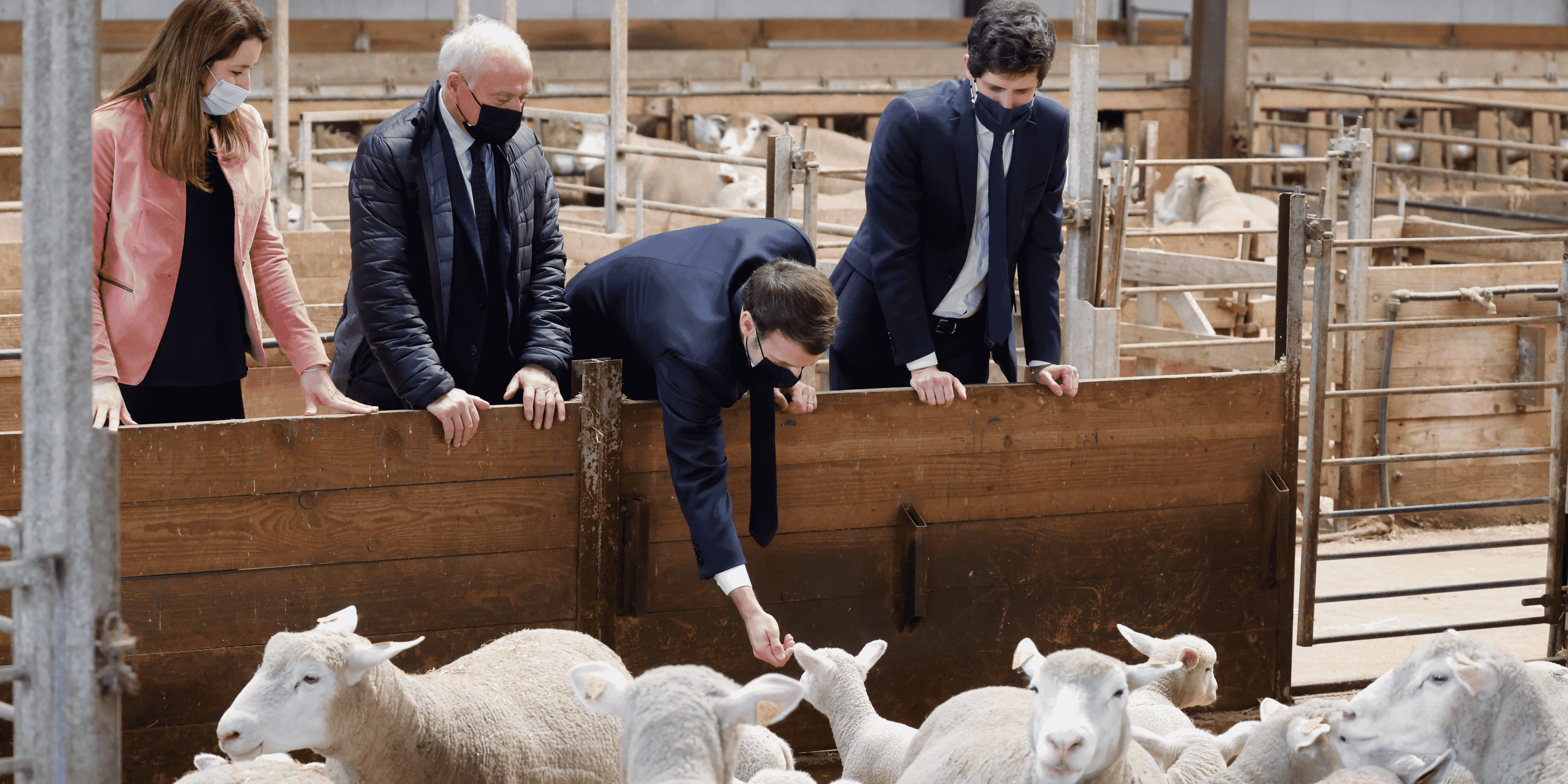 Macron, SIA, salon de l'agriculture 2021, ferme d'Étaules