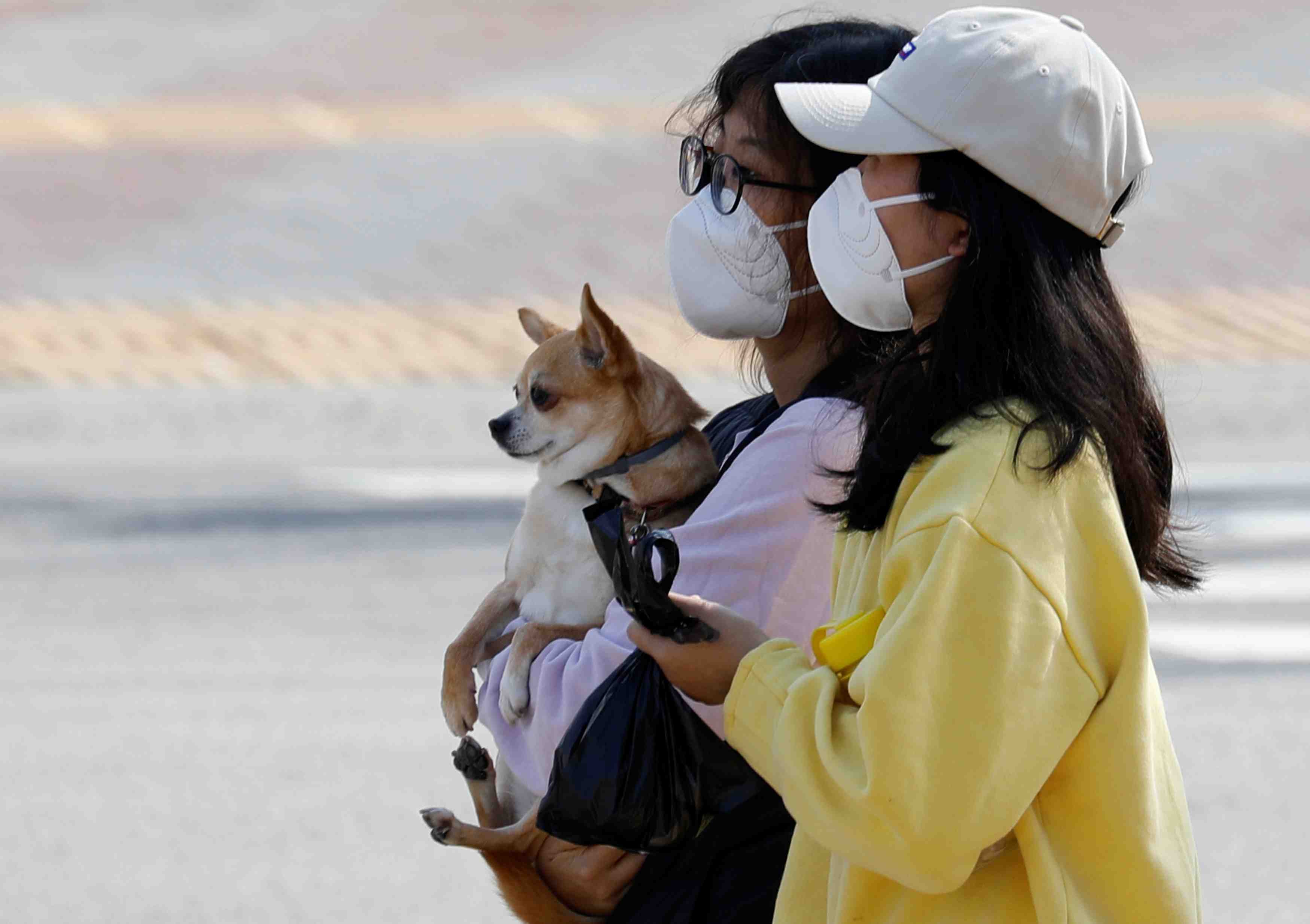 Coronavirus: 93 nouveaux cas en coree du sud, qui appelle a la cooperation
