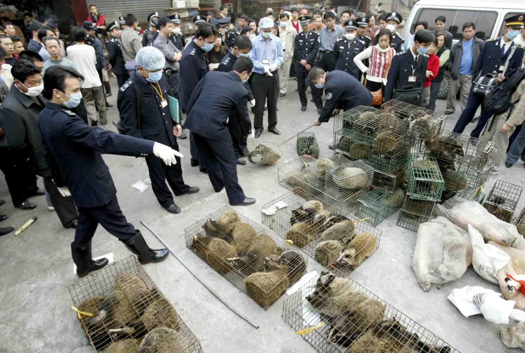 SARS, animaux sauvages, marché, Chine