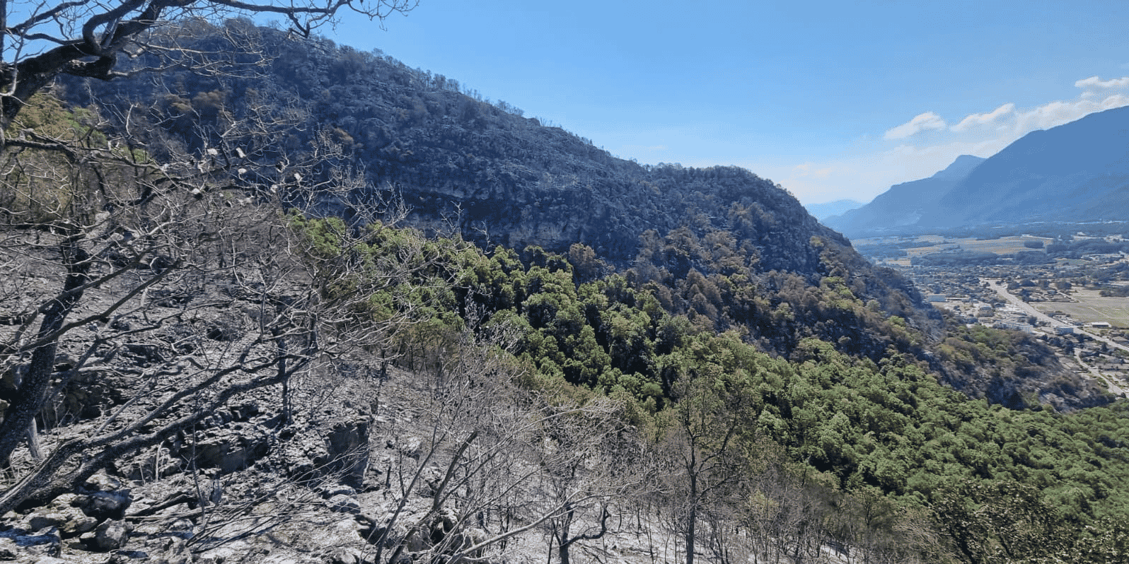 Incendie Voreppe Août 2022