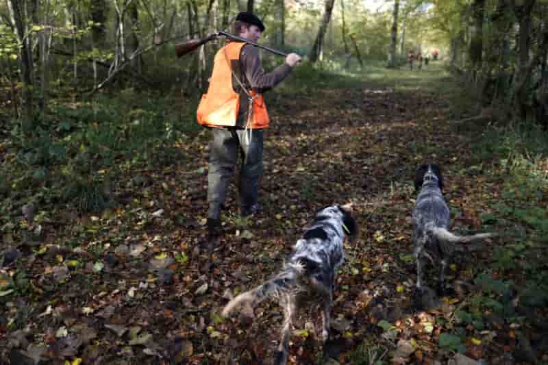 Rien n'est acte sur la chasse, dit hulot