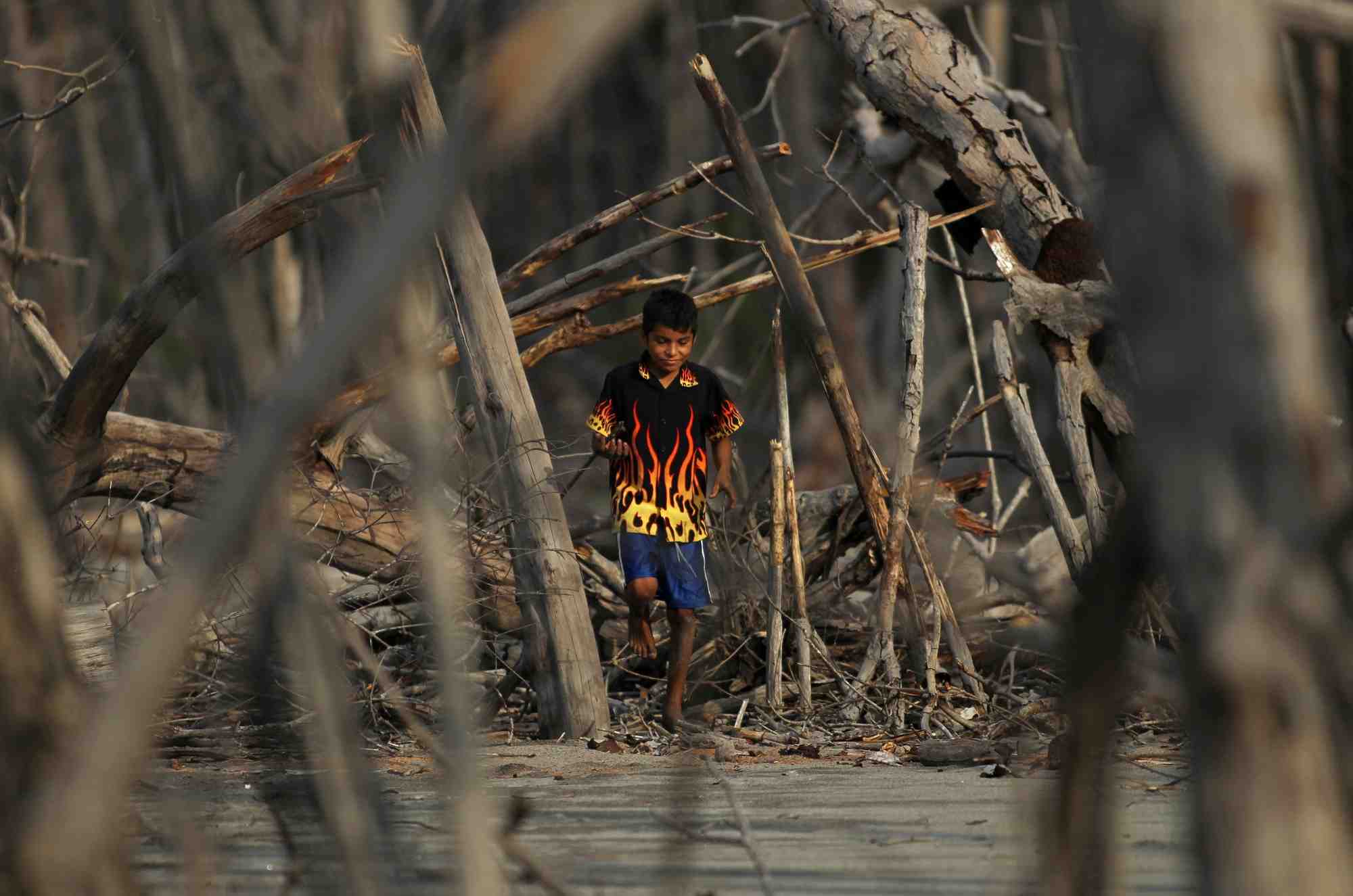 Un enfant marche parmi des arbres morts dans la petite communaute de la tirana