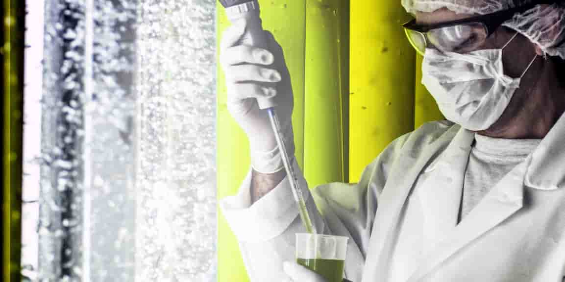 Filiale du groupe Greentech, Greensea a plus de trente ans d'expertise dans la transformation des microalgues en ingrédients actifs innovants pour les marchés de la cosmétique, de la santé, de la nutrition animale et de l'agronomie.