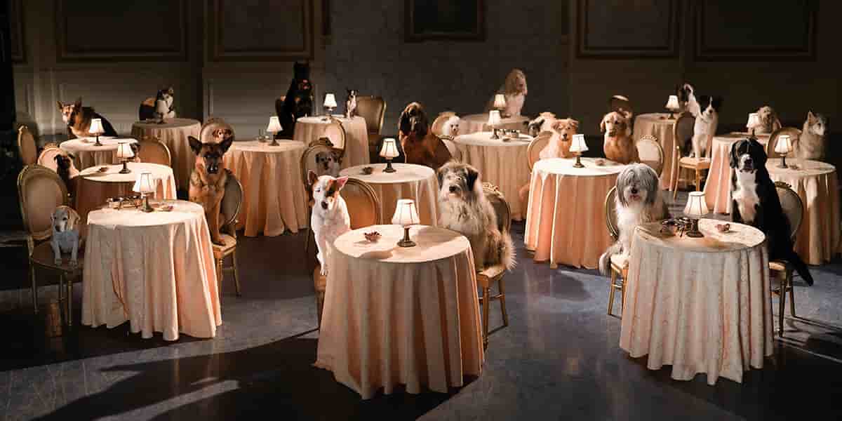 « Palace pour chiens», premier long-métrage du réalisateur allemand Thor Freudenthal en 2009.