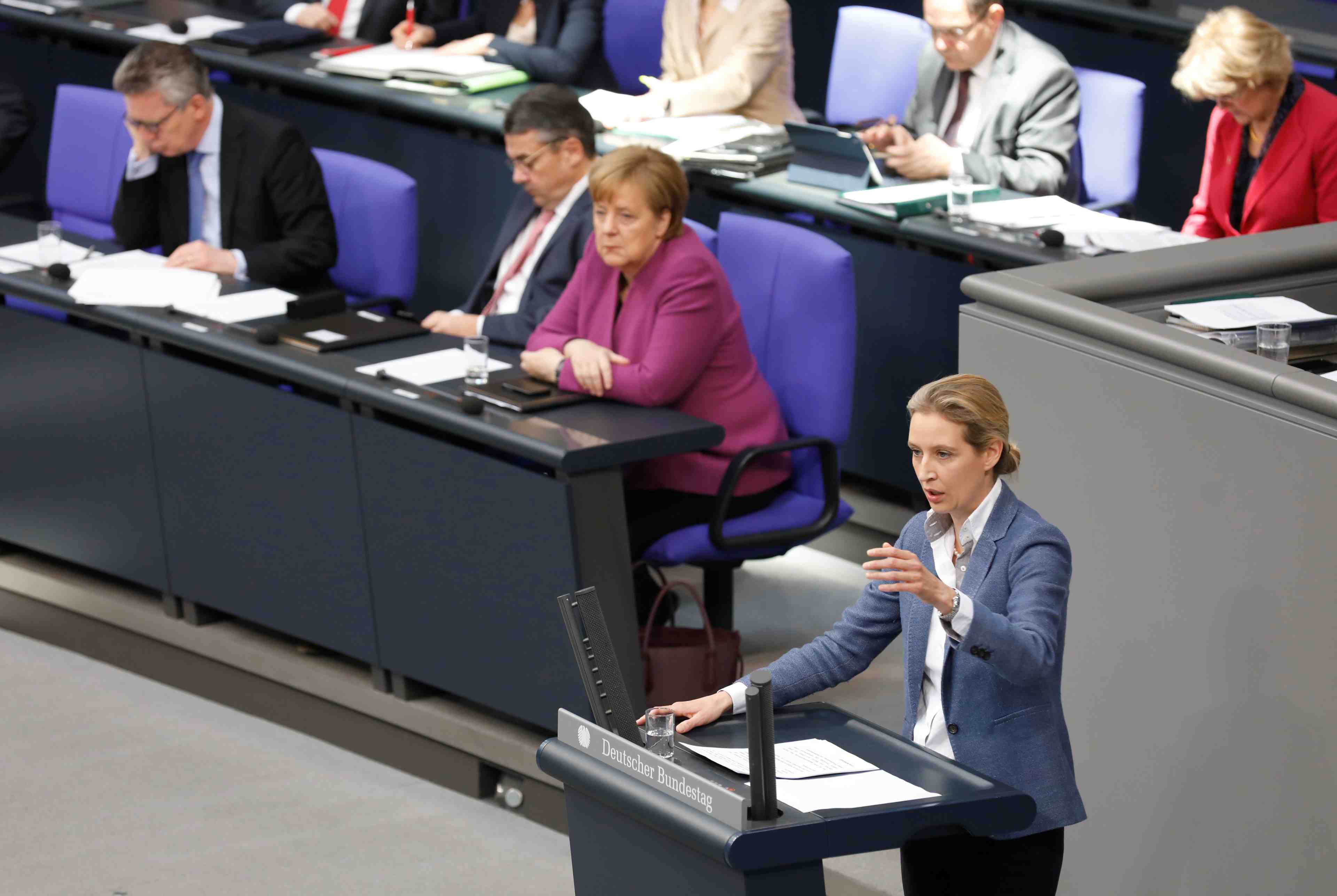 L'afd veut travailler avec le parti anti-islam pegida
