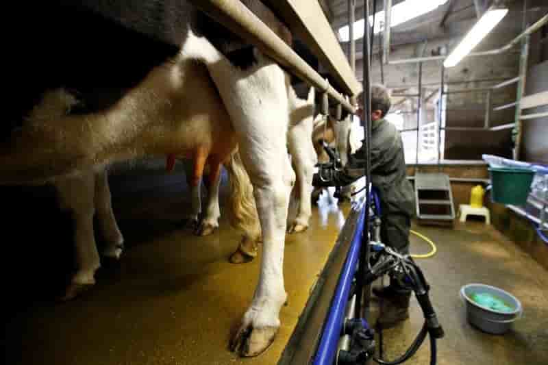 France: hausse des prix du lait en vue