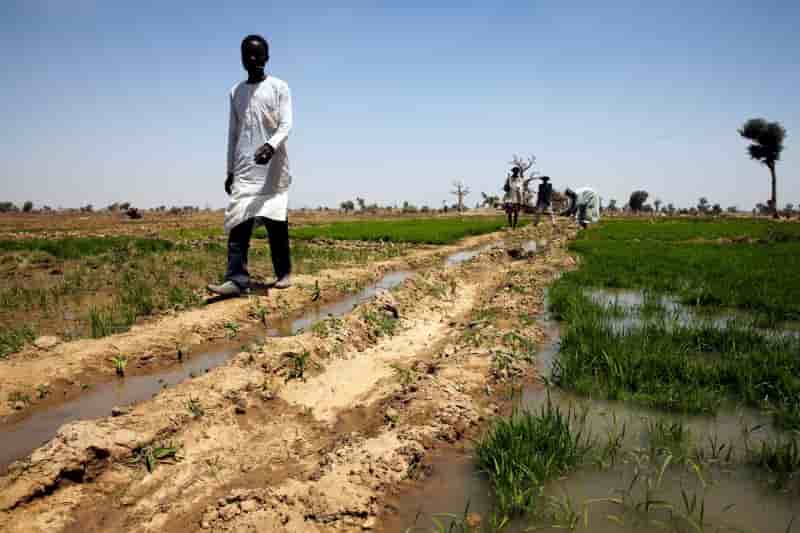 Nigeria: le conflit fermiers-bergers fait des milliers de deplaces