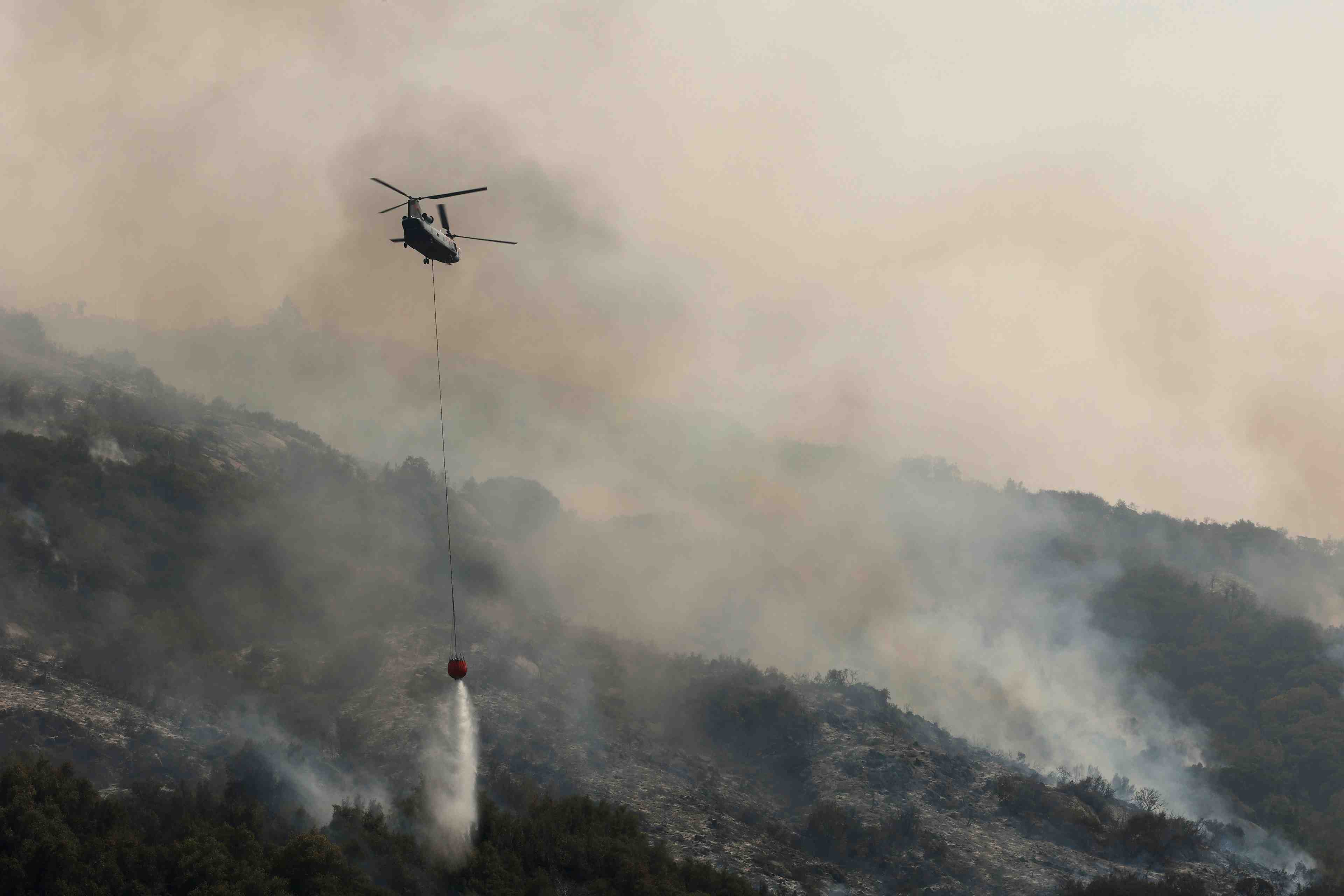 En californie, des celebres sequoias geants epargnes par les flammes