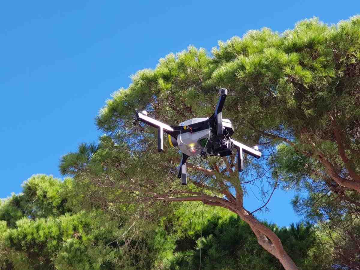 delta drone