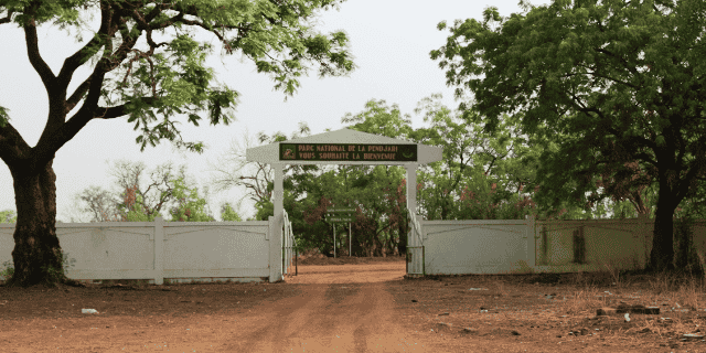 Parc national de la Pendjari Bénin