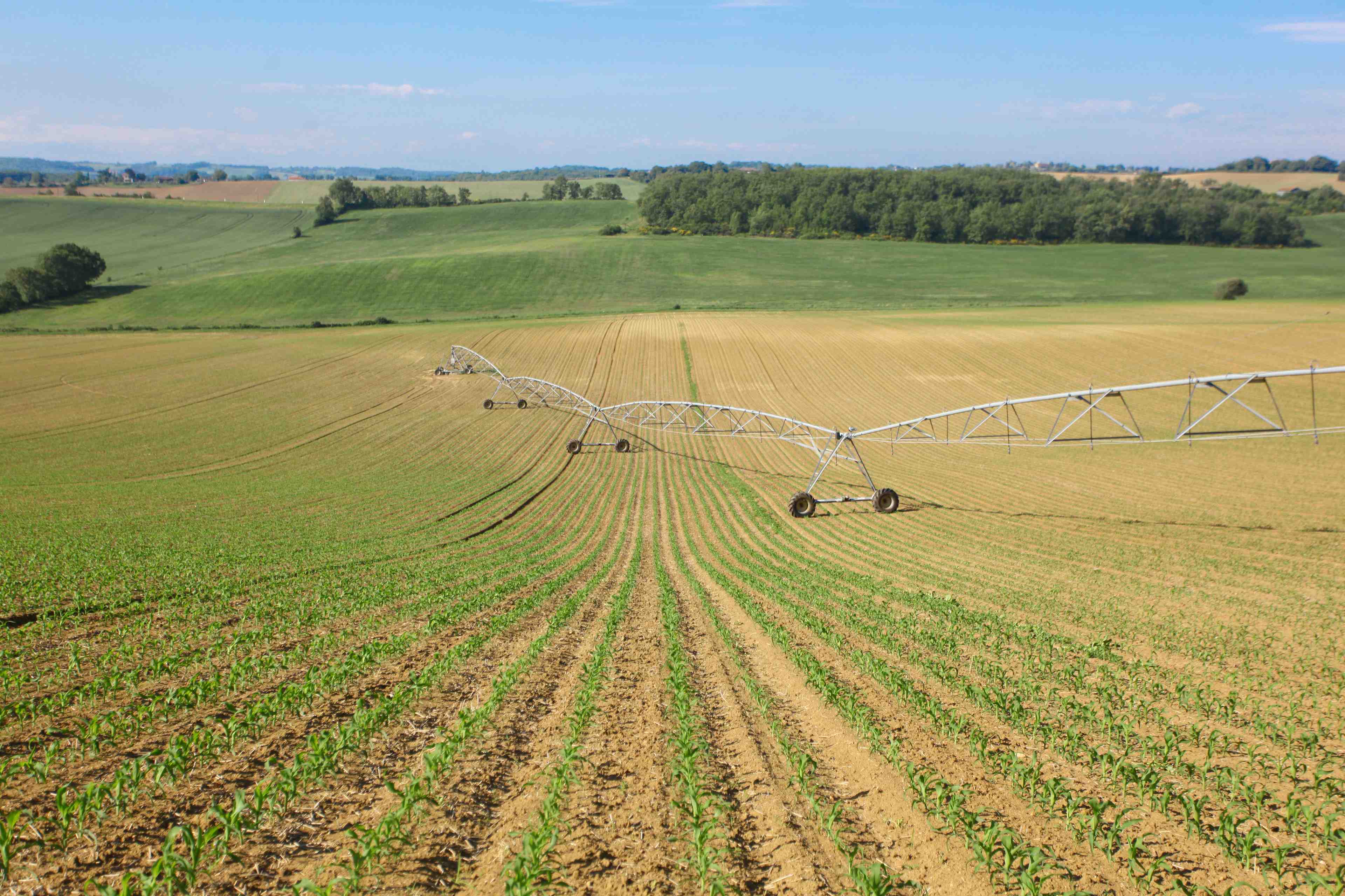 irrigation eau