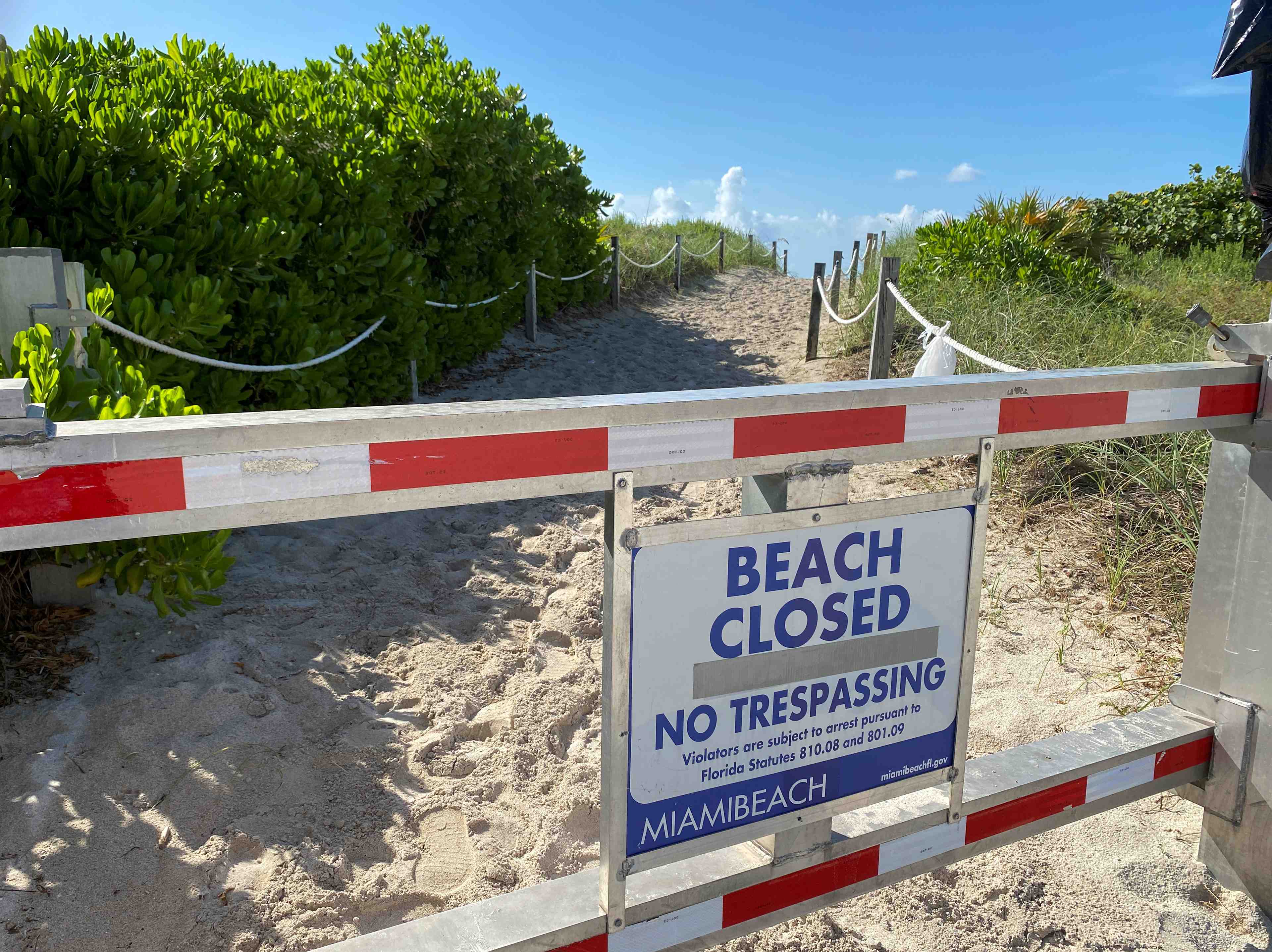 Coronavirus: plus de 50.000 nouveaux cas aux usa, couvre-feu en floride