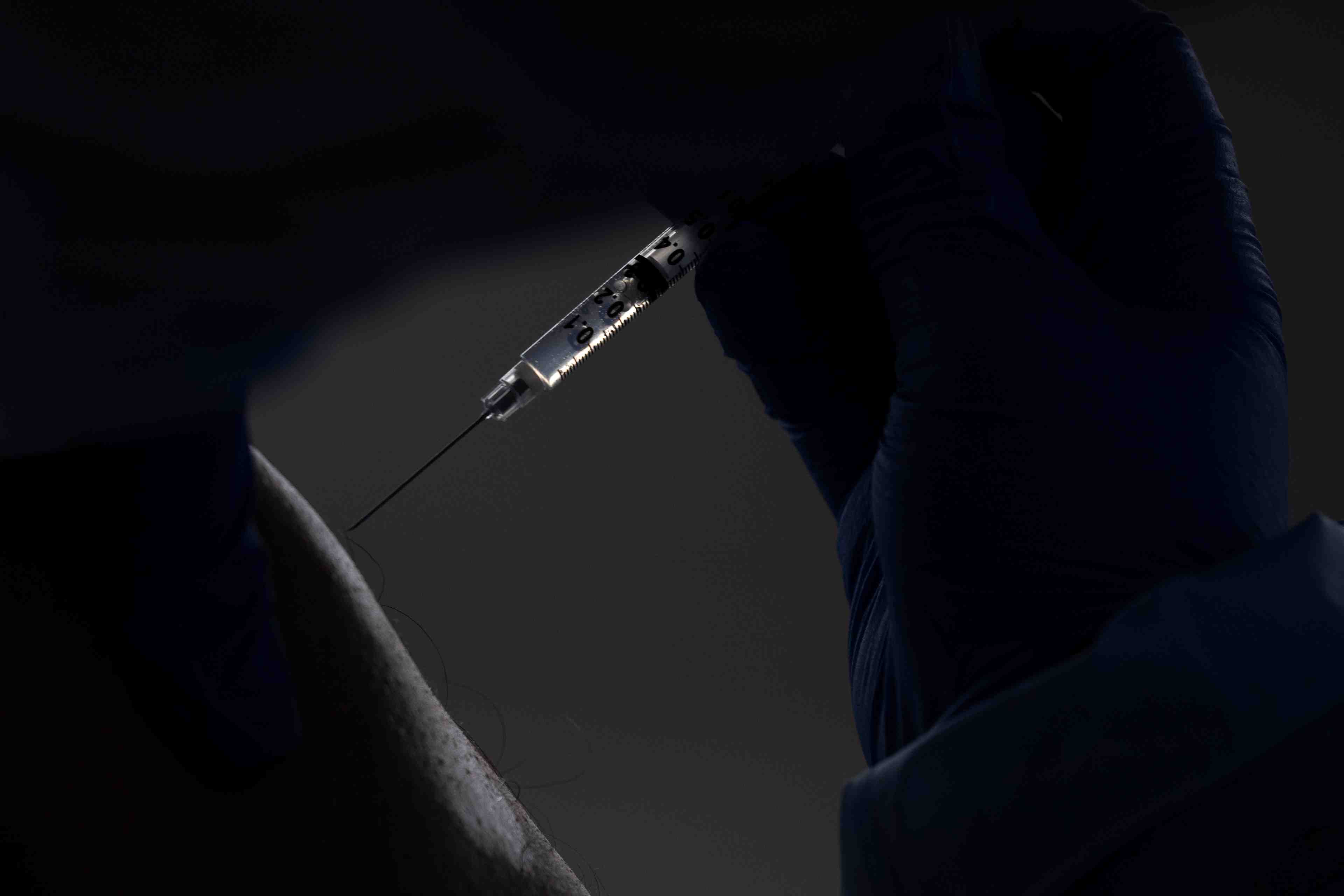 Coronavirus: la nouvelle-zelande approuve l'utilisation du vaccin pfizer-biontech