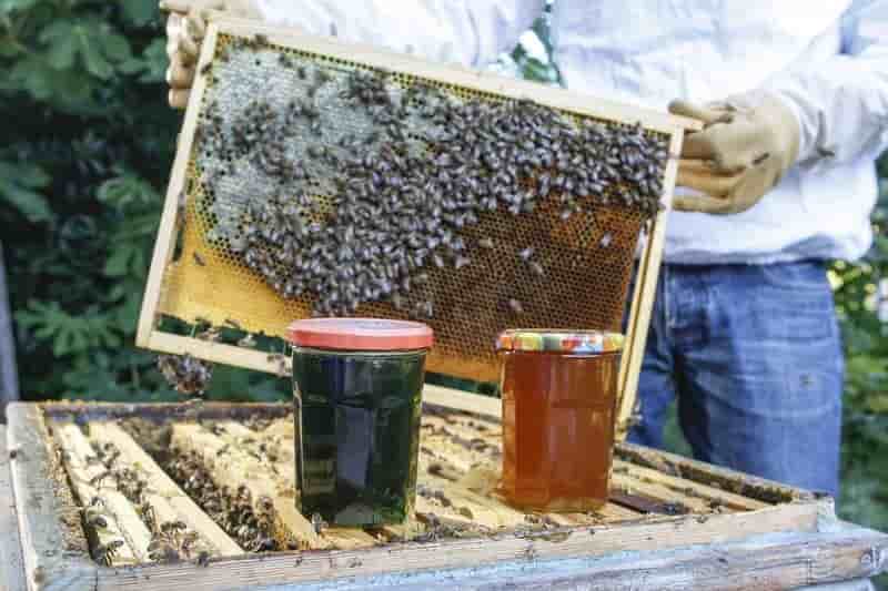 Des entrepots collaboratifs pour les petits producteurs