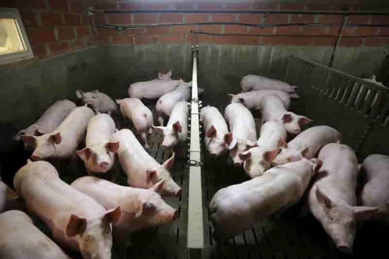 La crise agricole s'invite a matignon