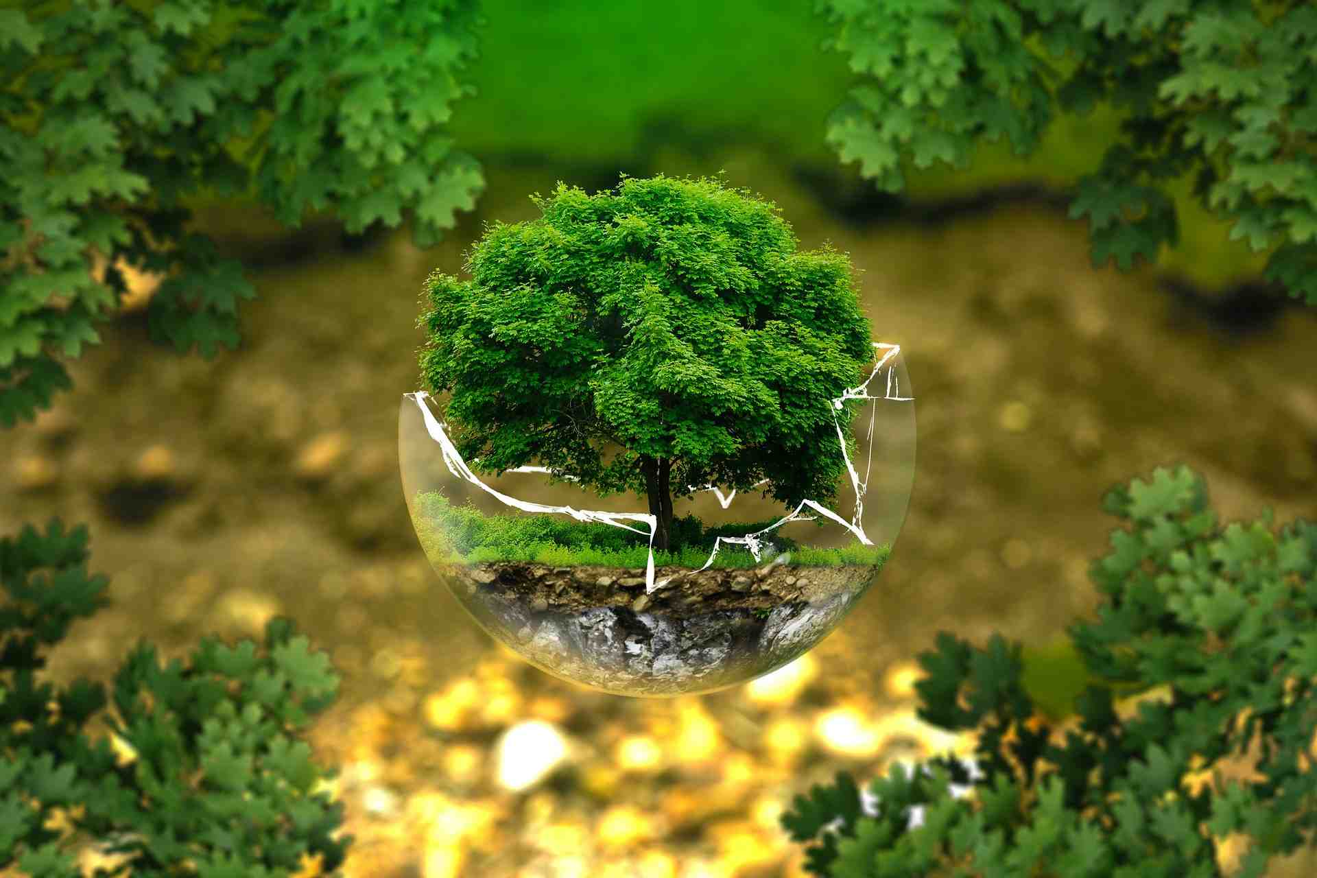 Photo d'illustration