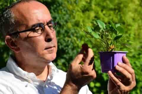 comptoir des jardins