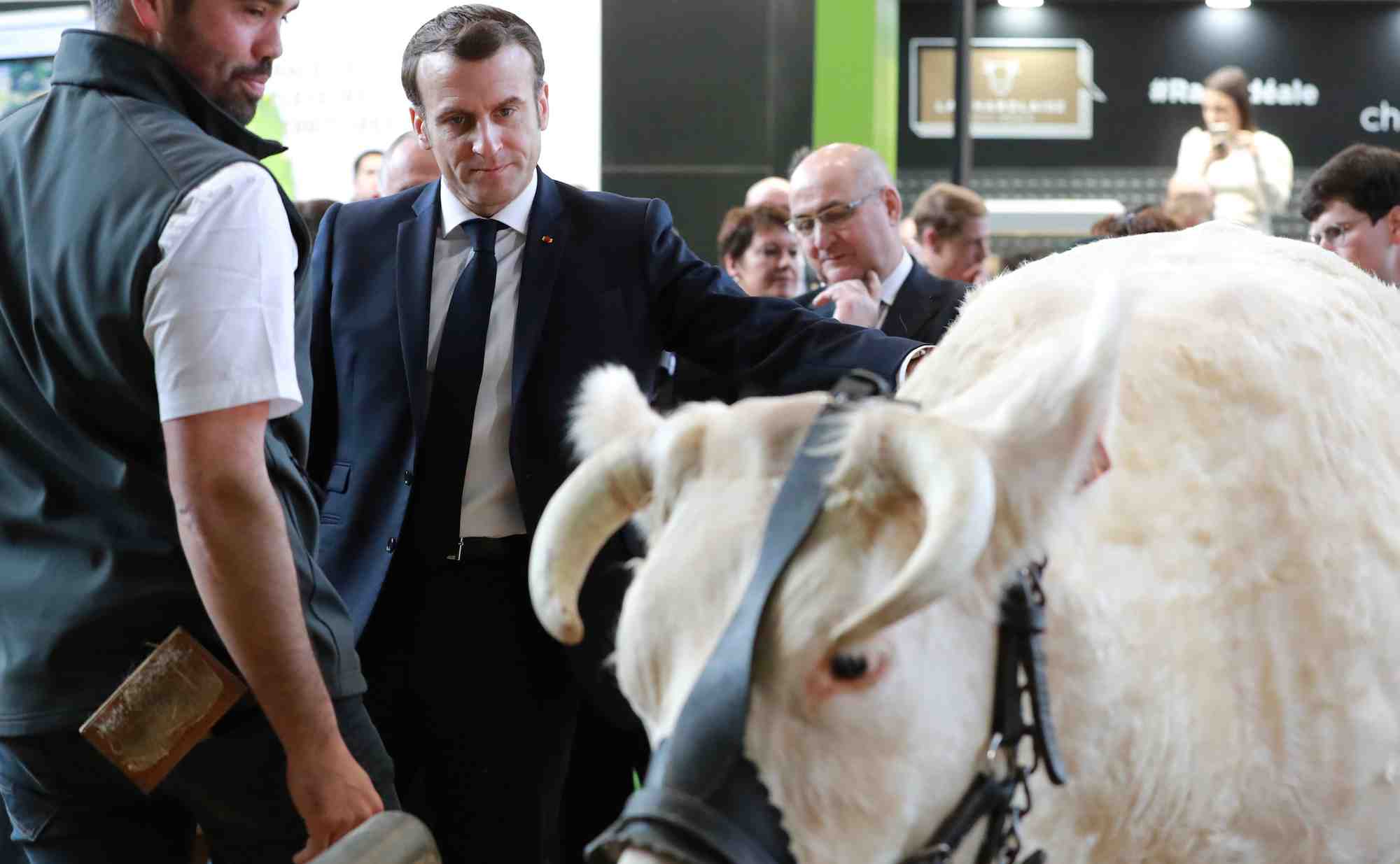 La forme de l'intervention d'Emmanuel Macron, qui d'habitude se promène pendant des heures et des heures dans les allées du salon sans tenir de véritable discours, n'est pas encore claire. Mais un format, proposé par la FNSEA et les JA, semble plaire à l'Elysée: celui d'un « grand débat » avec les agriculteurs -et non pas des représentants des syndicats.