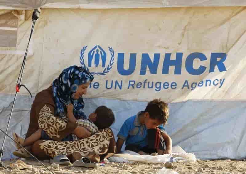 Des abris ikea pour les refugies sous tutelle de l'onu