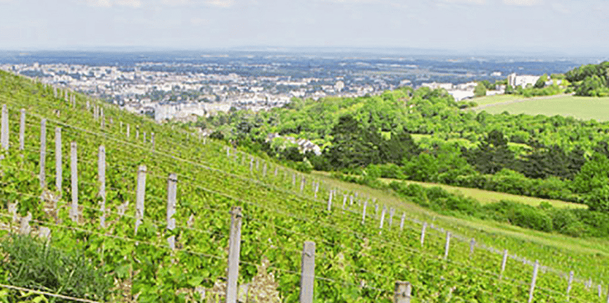 H322 LT2 Domaine de la Cras