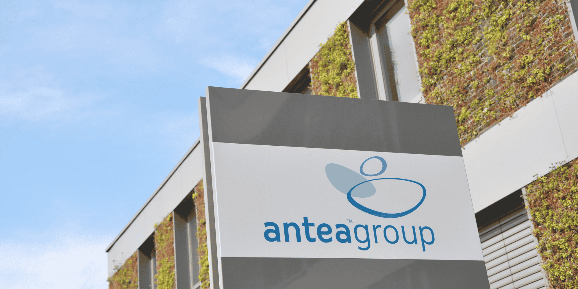 antea