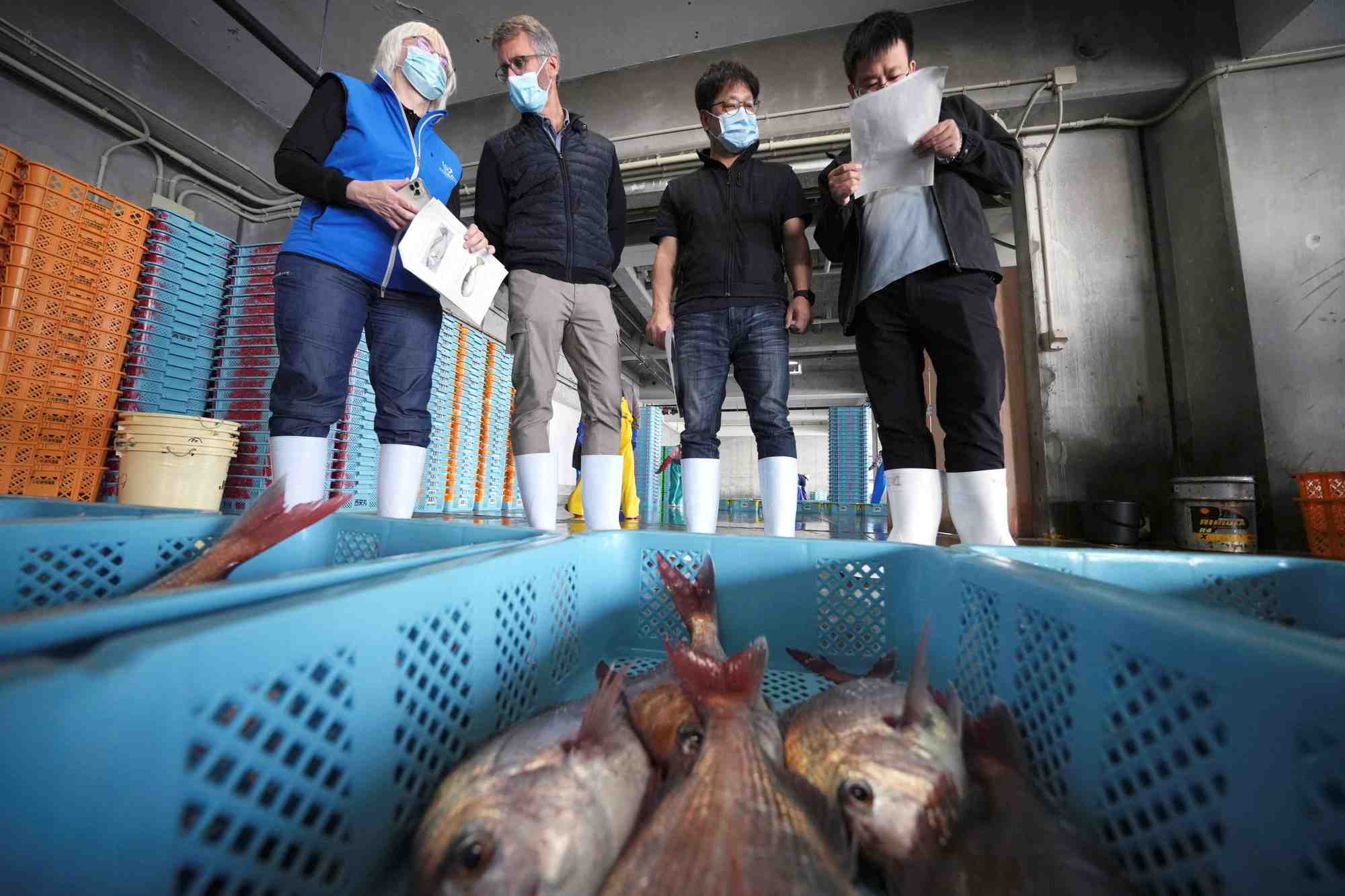 Des experts des laboratoires de l’environnement marin de l’aiea se rendent au japon pour surveiller les rejets d’eau de fukushima