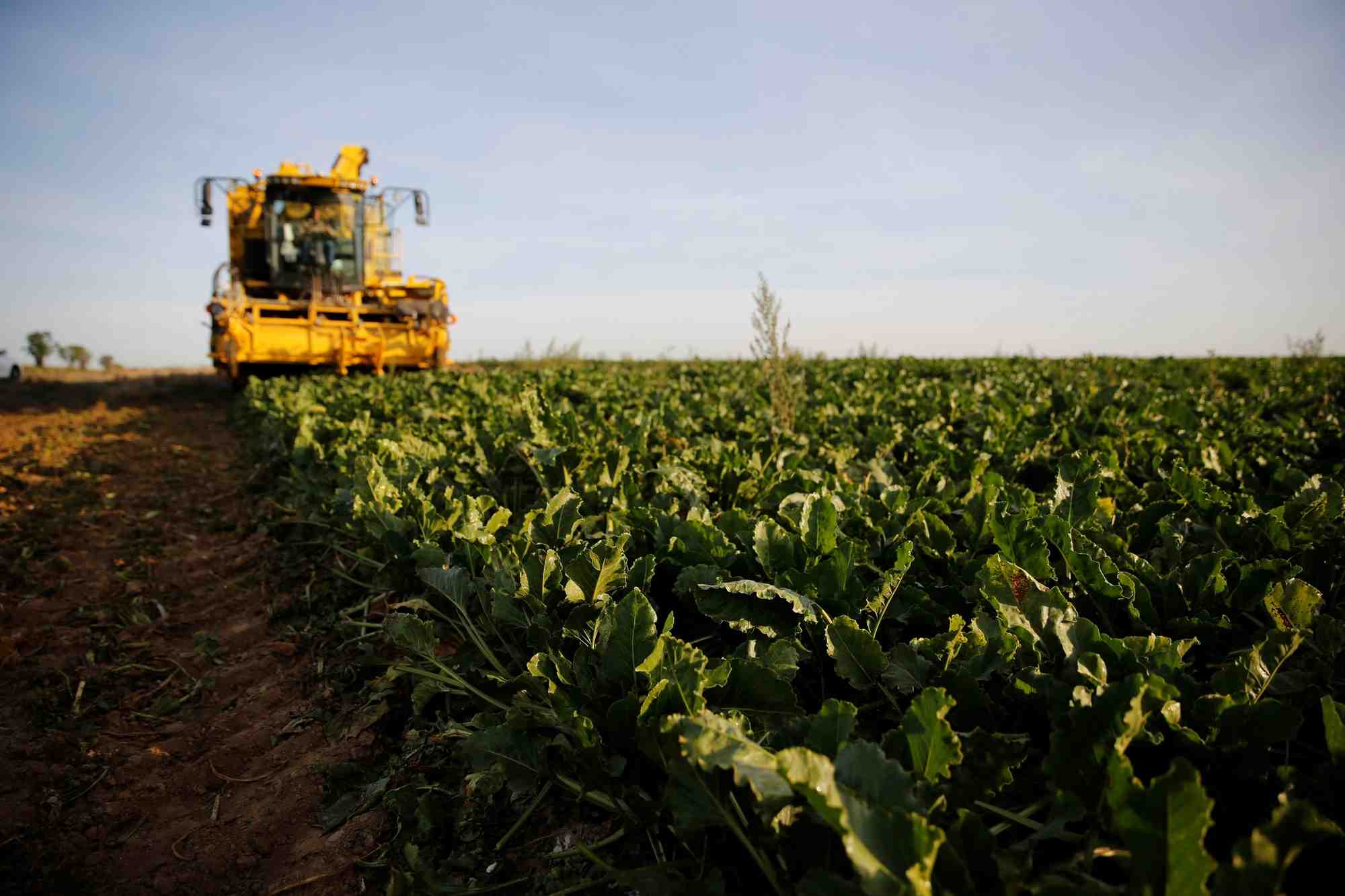 La loi agriculture et alimentation definitivement adoptee