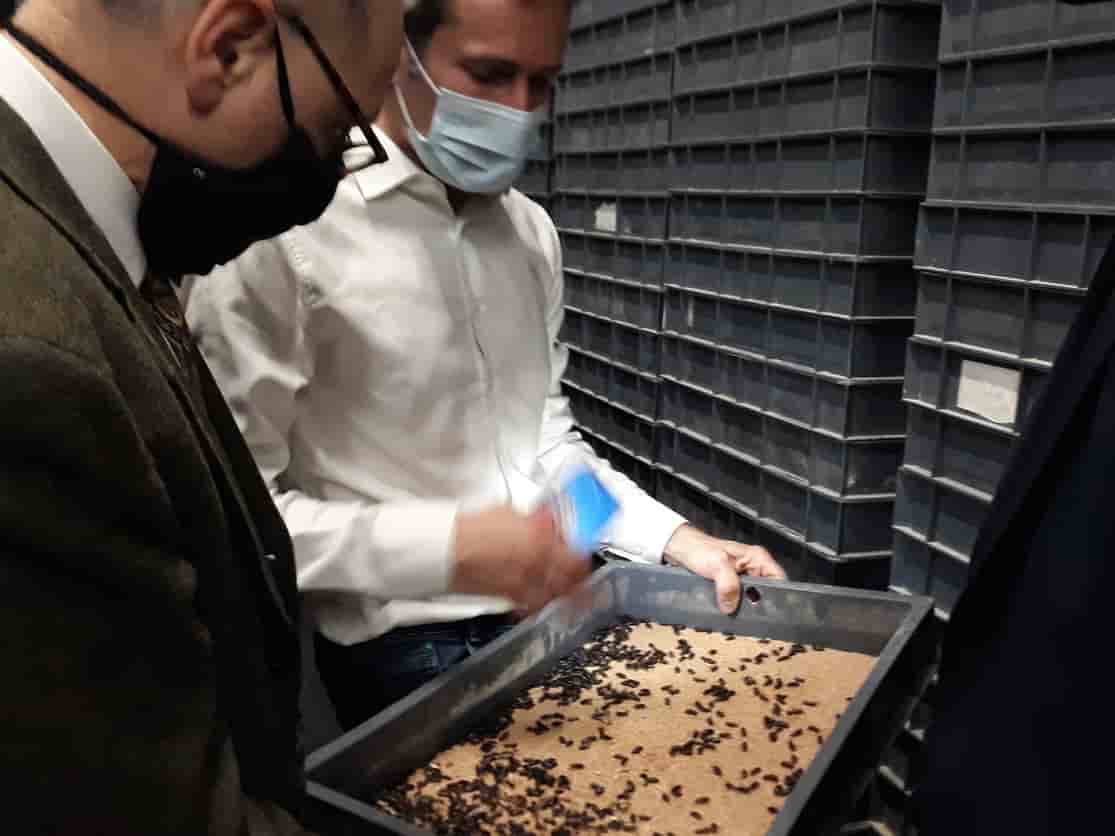 Invers, protéines durables