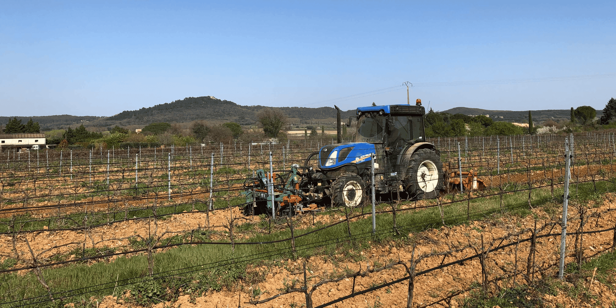 Travail du vignoble