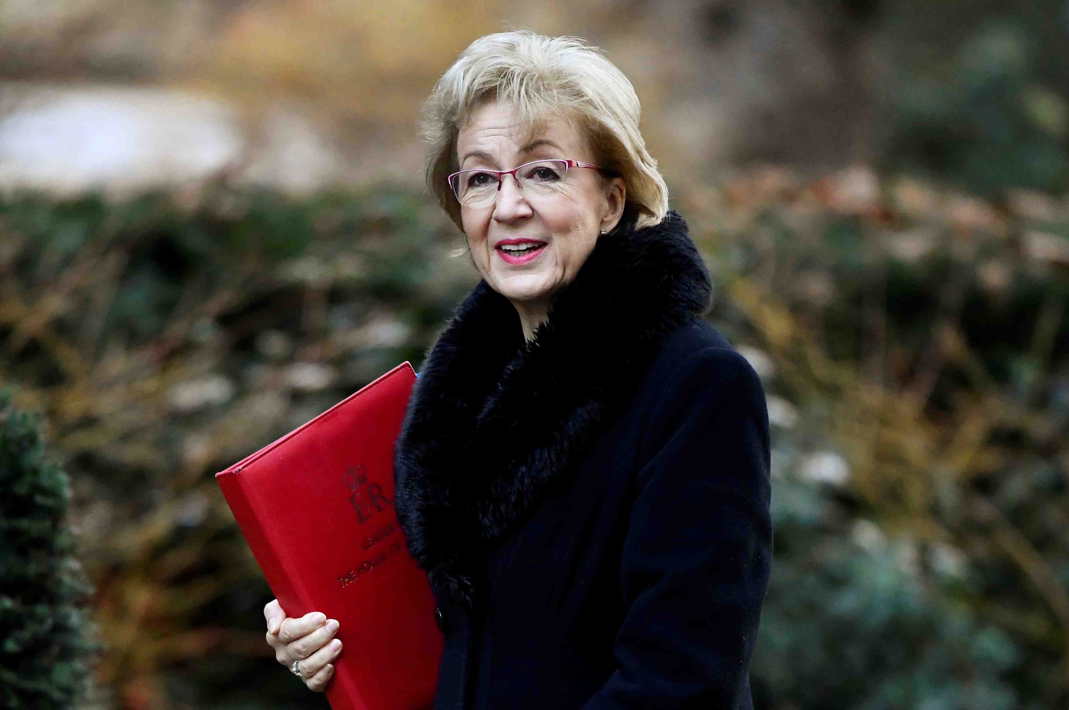 Le brexit pourrait etre repousse de quelques semaines, dit la ministre britannique leadsom