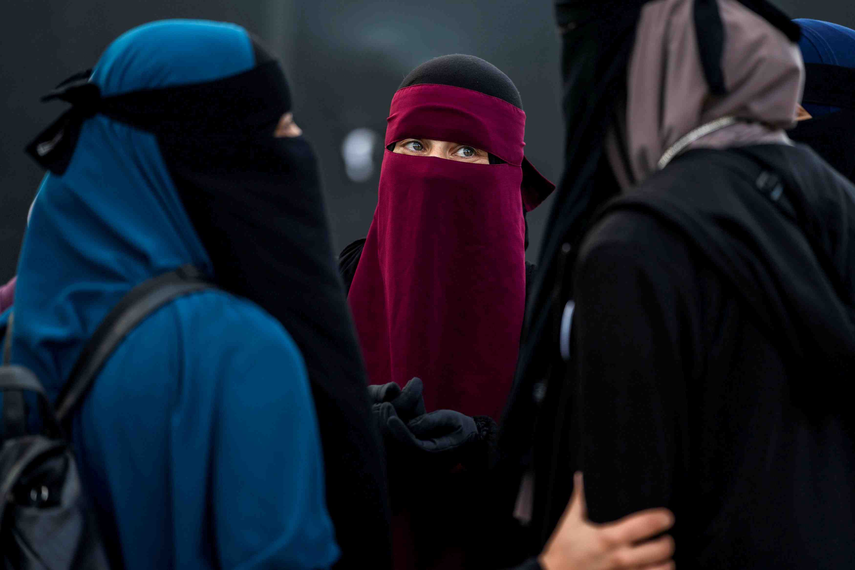 La tunisie interdit le port du niqab dans les etablissements publics