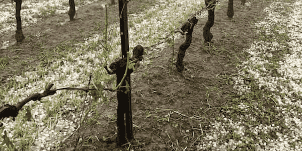 Grêle vignoble Bordeaux mai 2018