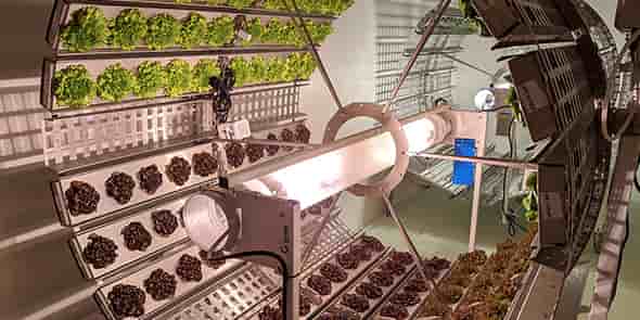 Dans ses fermes-verticales, Futura Gaïa fait pousser des cultures installées sur des roues.