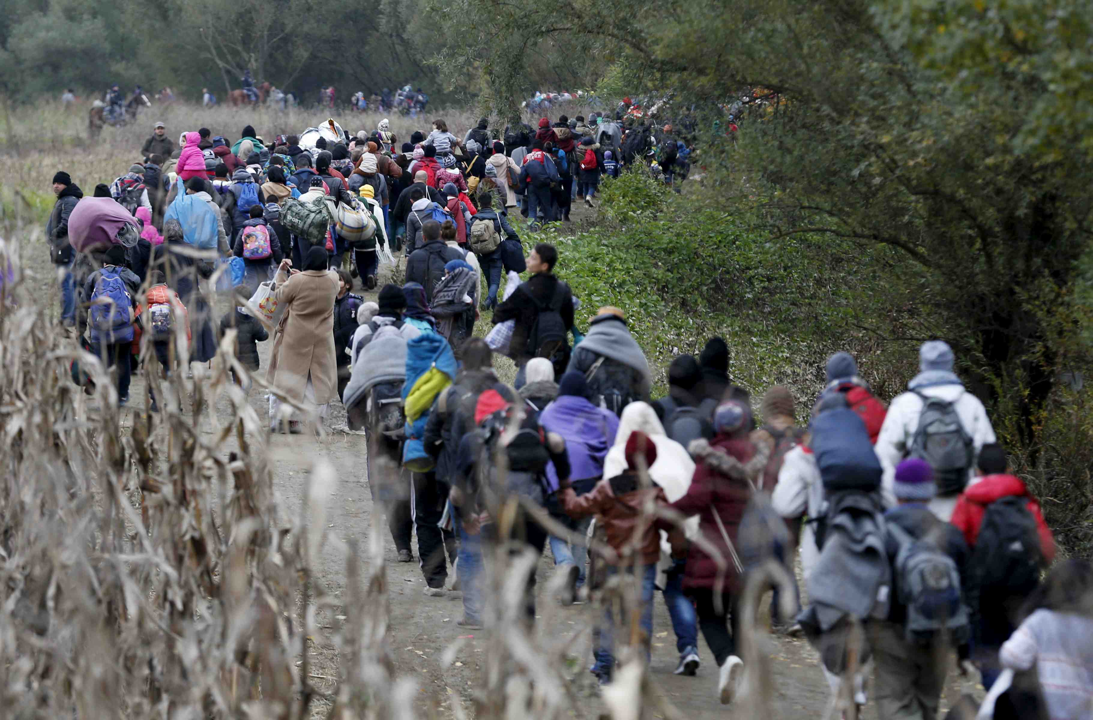 La slovenie songe a proteger ses frontieres avec une cloture