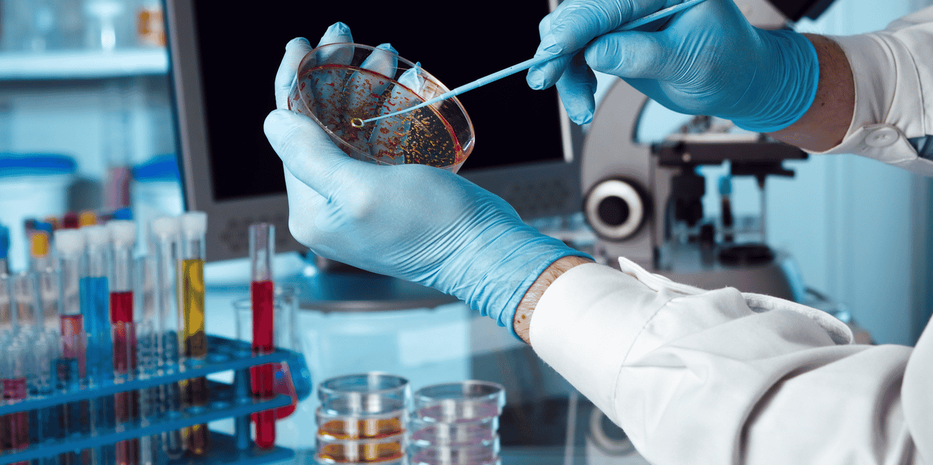 Laboratoire