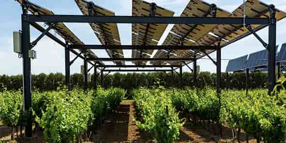 Sun'Agri, spécialiste de l'agrivoltaïsme dynamique