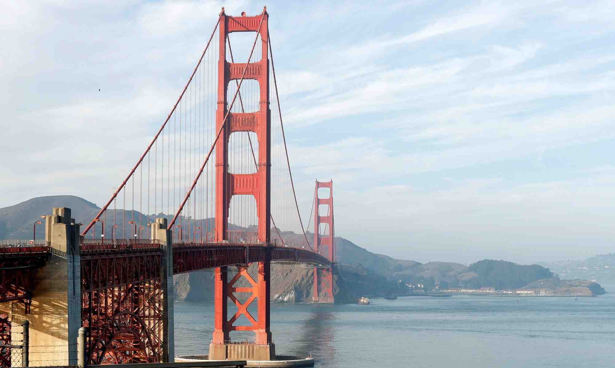 Etats-unis: le metro de san francisco embauche un faucon pour eloigner les pigeons