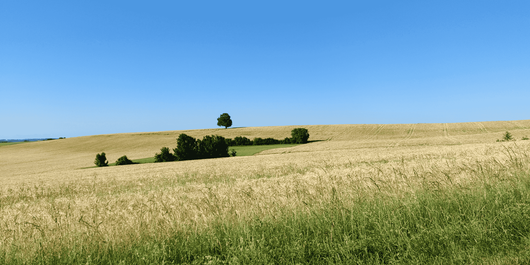 campagne