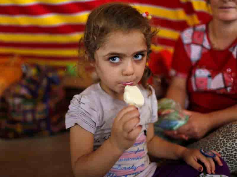 Appel des chrétiens d'Orient aux pays arabes face à l'EI