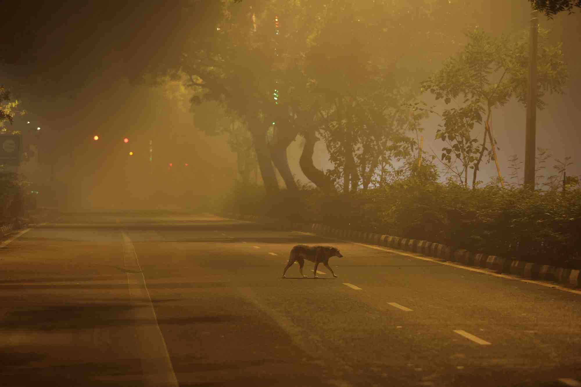 Pollution atmospherique a new delhi