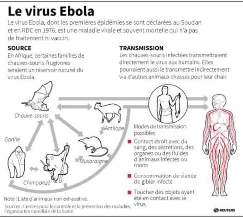 La fièvre Ebola a fait douze morts en Sierra Leone